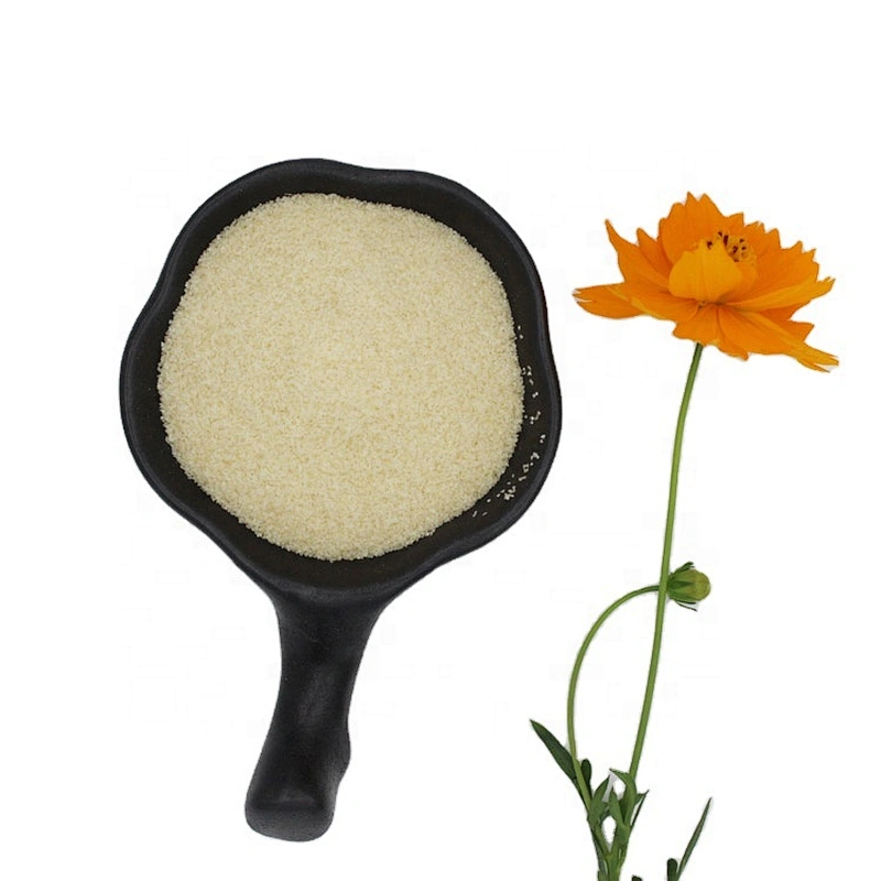 Food Grade beef Gelatin Powder Halal Gelatin High Transparency with Good Quality 160 180 250 280 bloom
